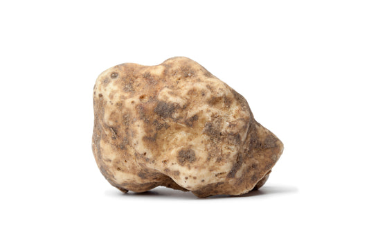 White truffle